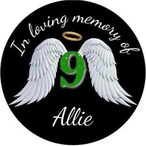 Meet your Posher, Robin